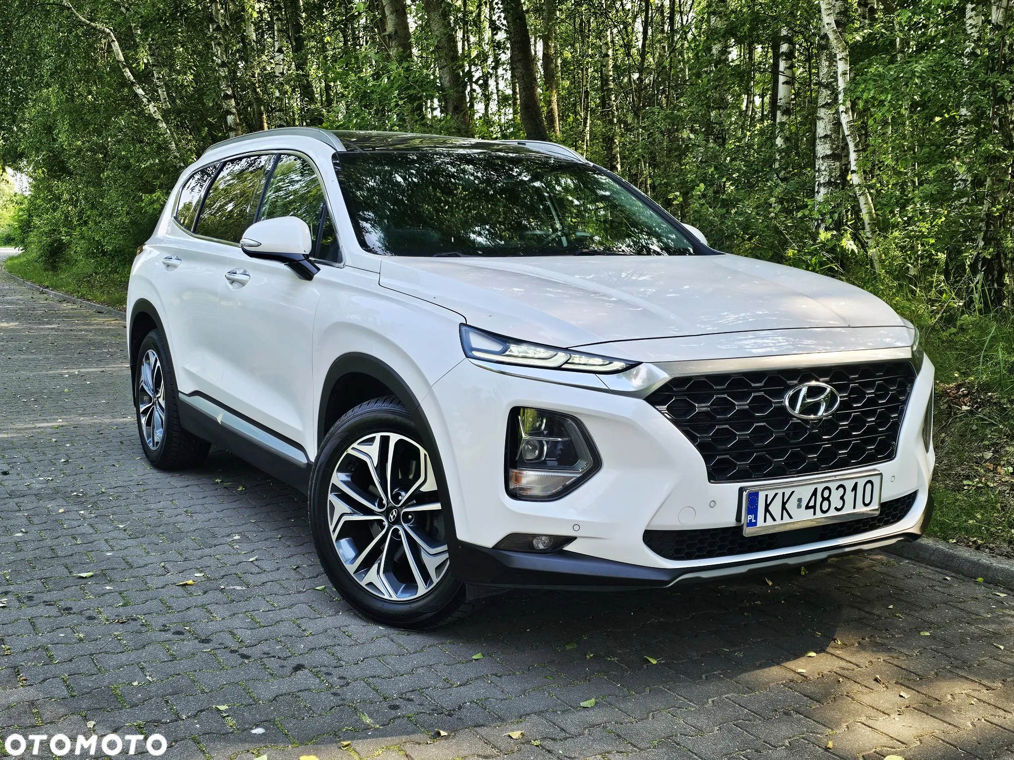Hyundai Santa Fe 2.0 CRDi Platinum 4WD 7os - 13