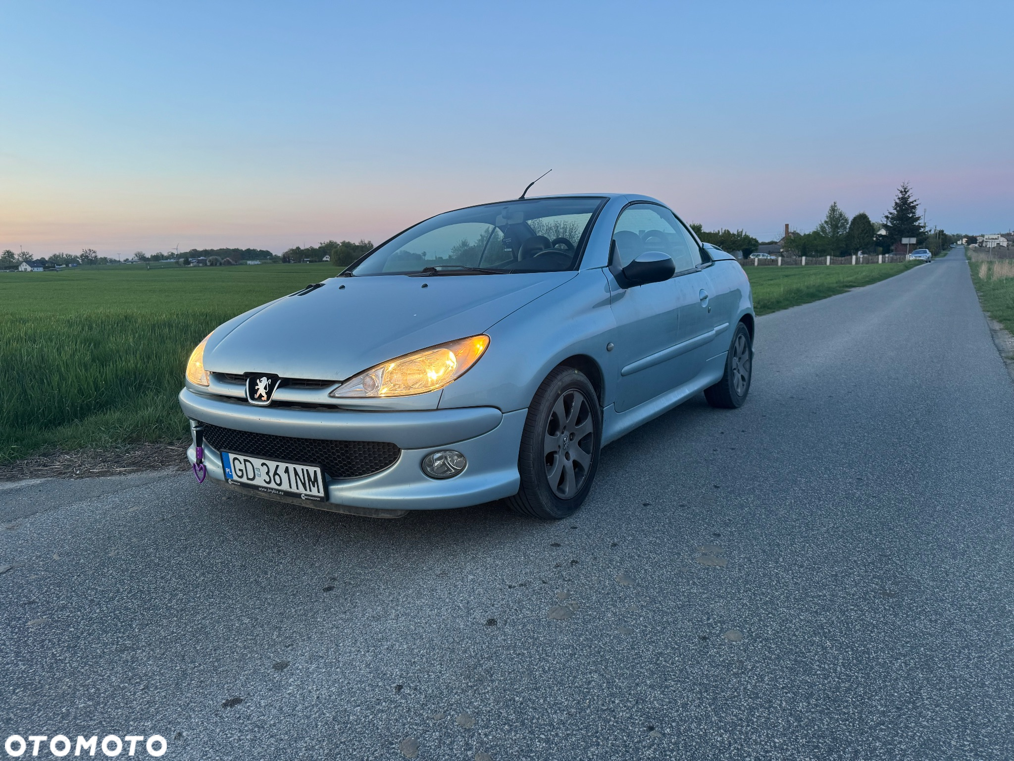 Peugeot 206 CC 1.6 Euro3 - 30