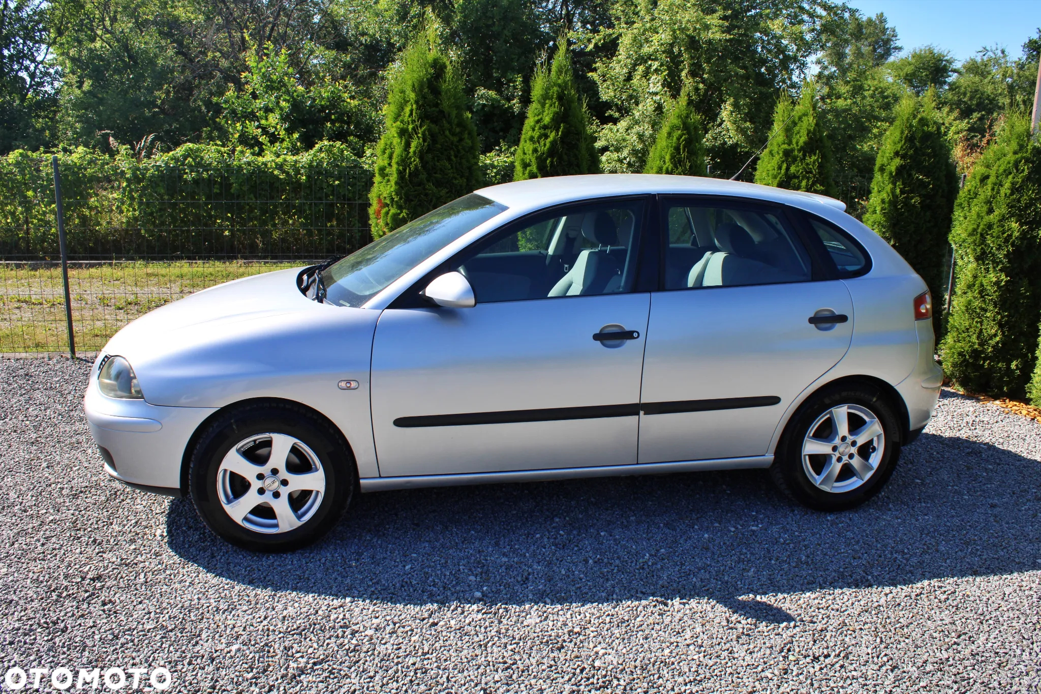 Seat Ibiza - 5