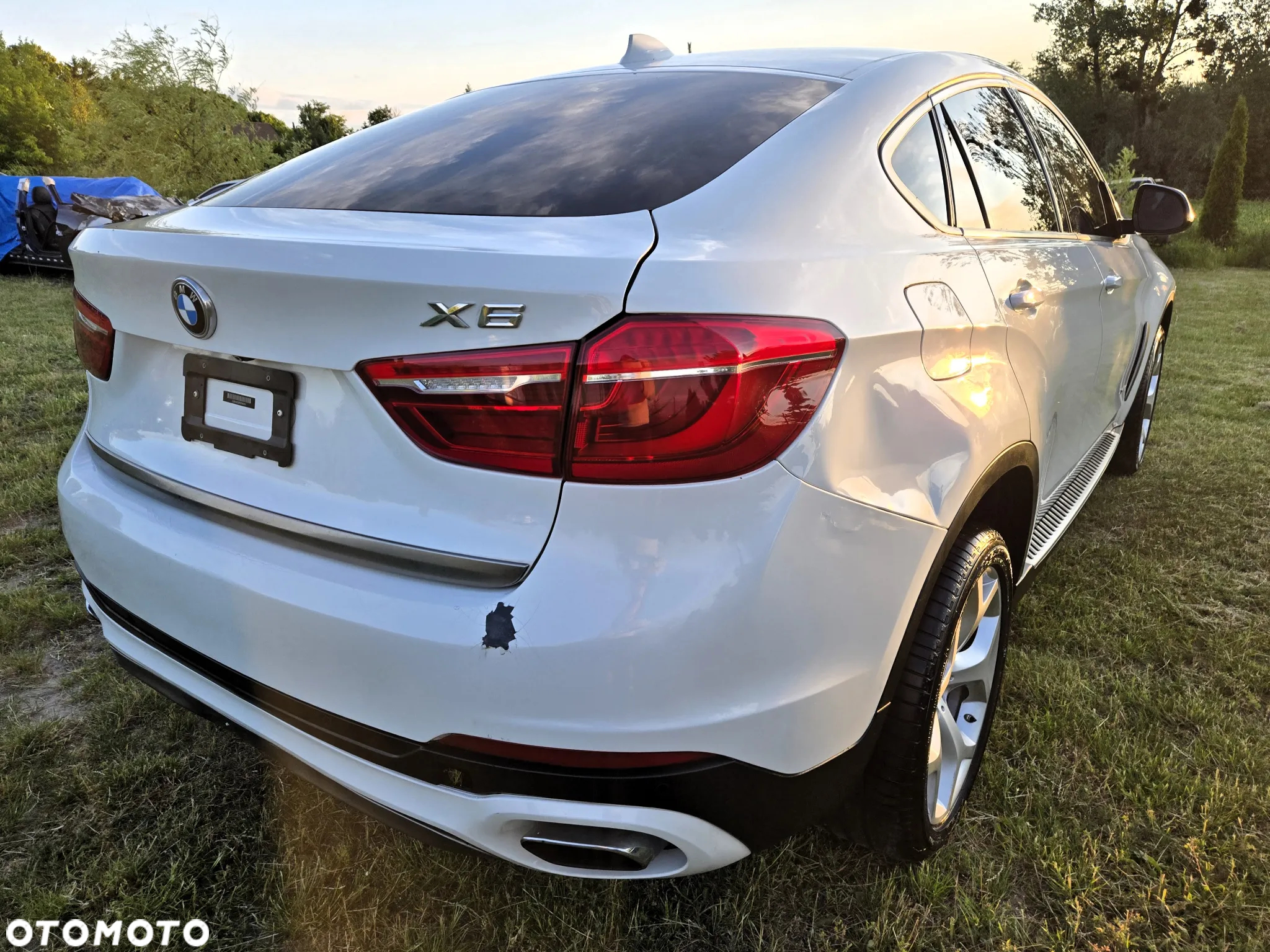 BMW X6 xDrive50i - 8
