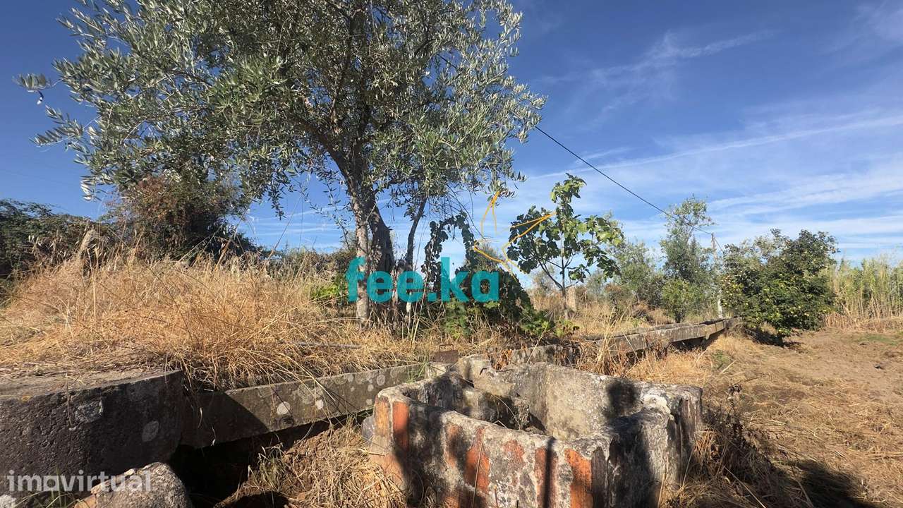 Terreno em Ladoeiro - Grande imagem: 3/48
