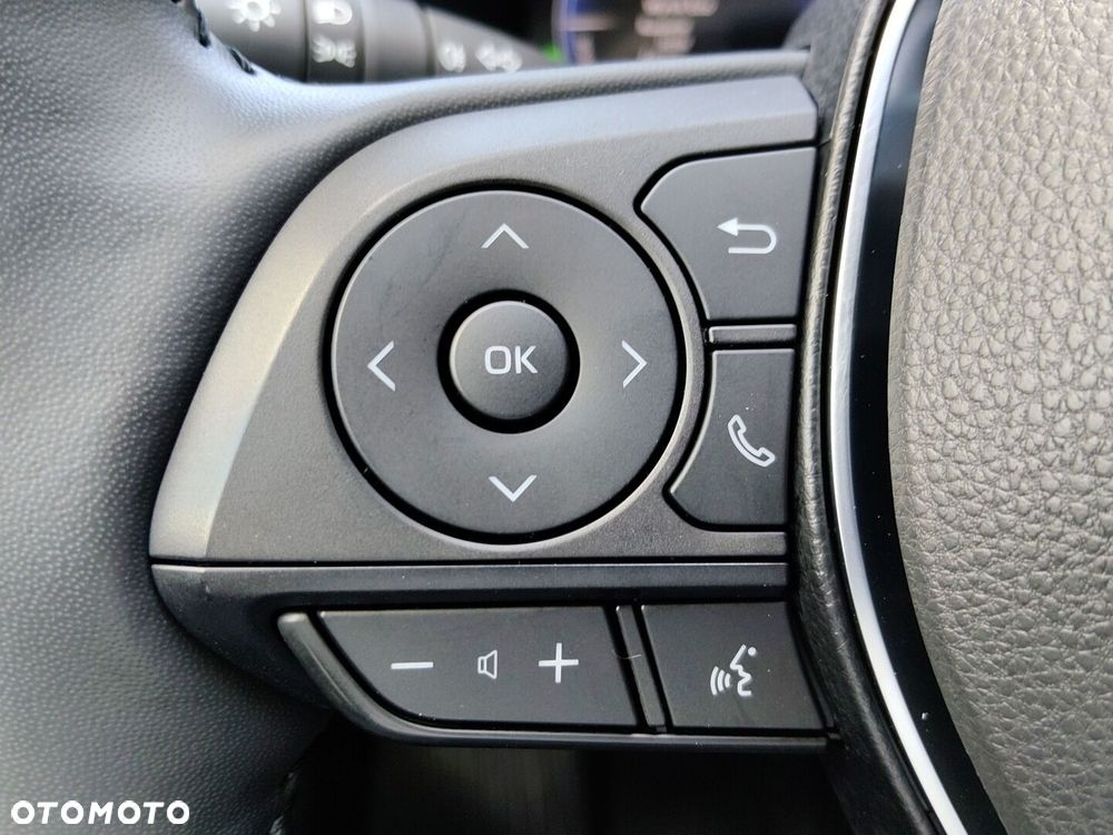 Toyota RAV4 2.5 Hybrid Executive 4x2 - 22