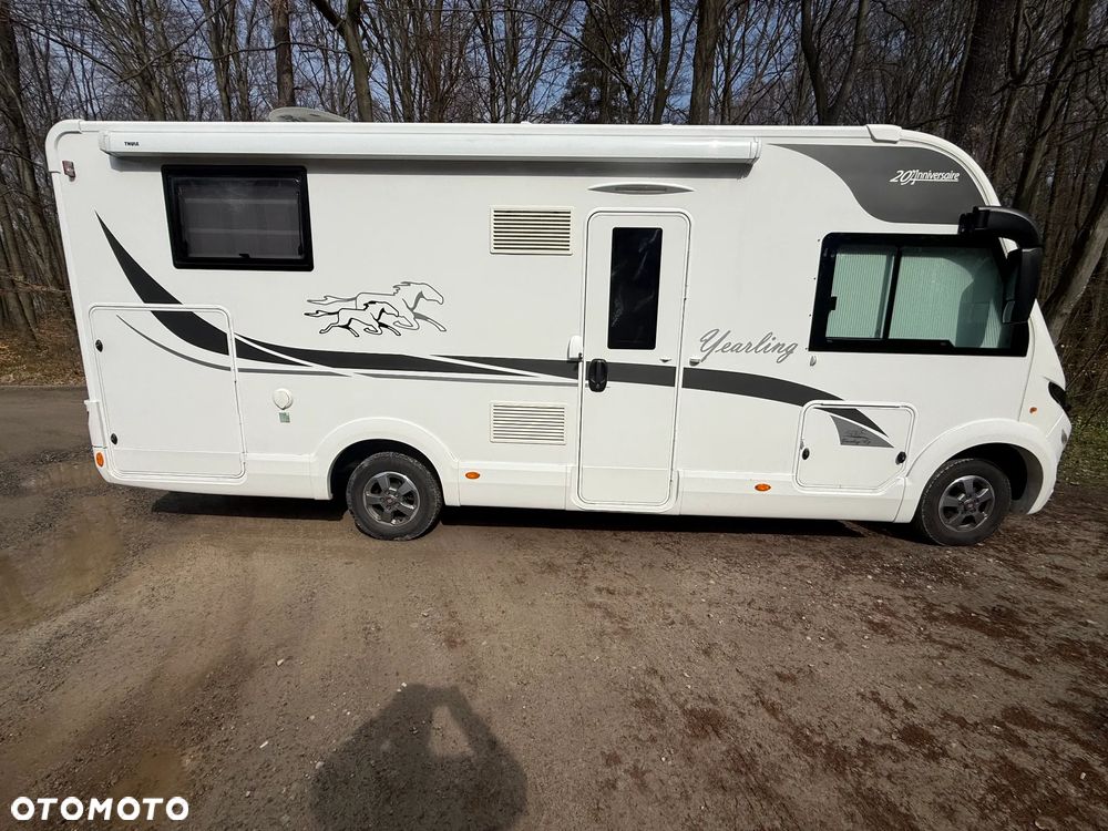 McLOUIS Yearling i61g - 3