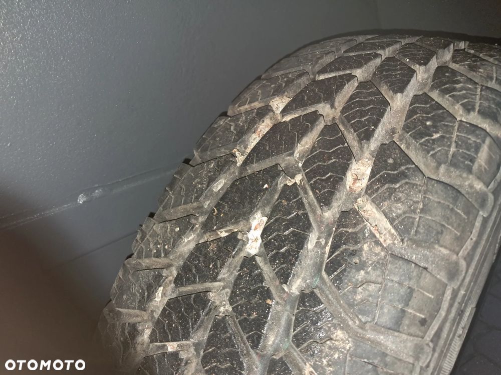 Blomenröhr Knott - 9