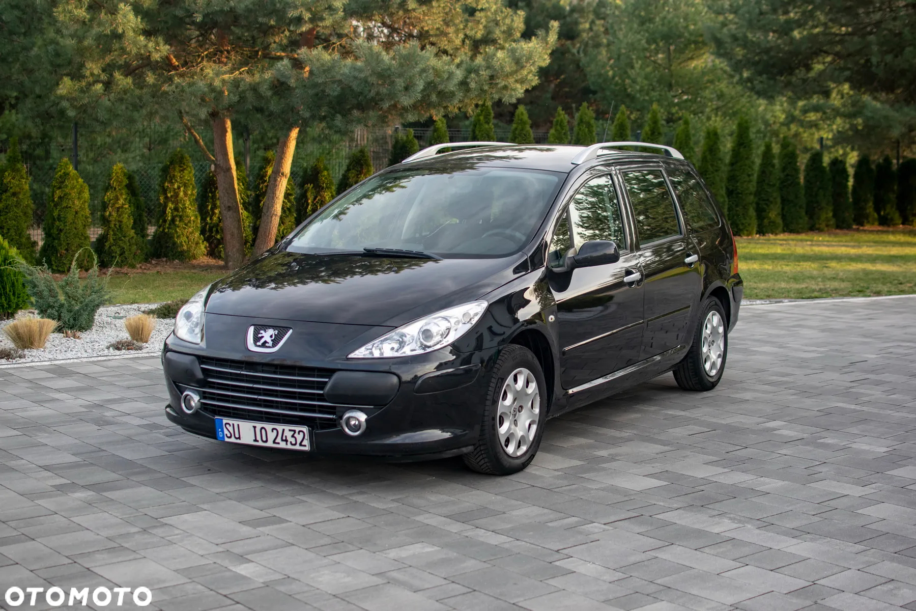 Peugeot 307 - 12