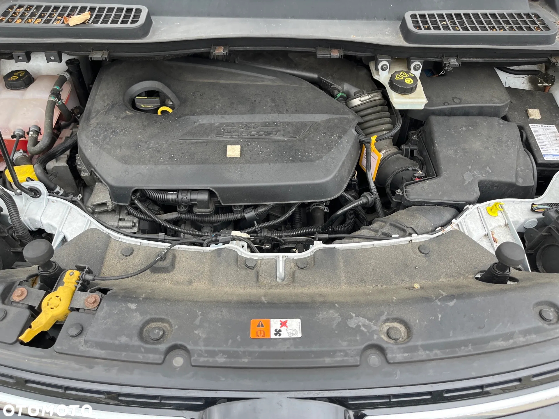Ford Kuga - 9
