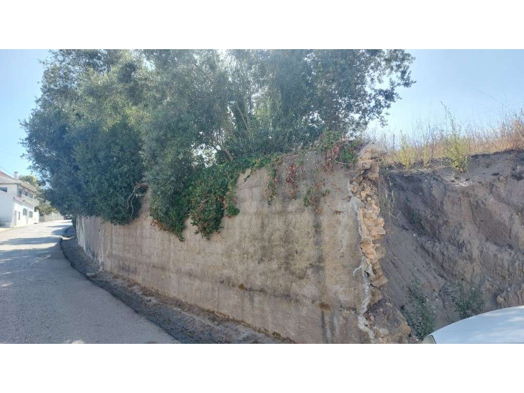Terreno na vila de Monte Real para construção - Grande imagem: 5/7