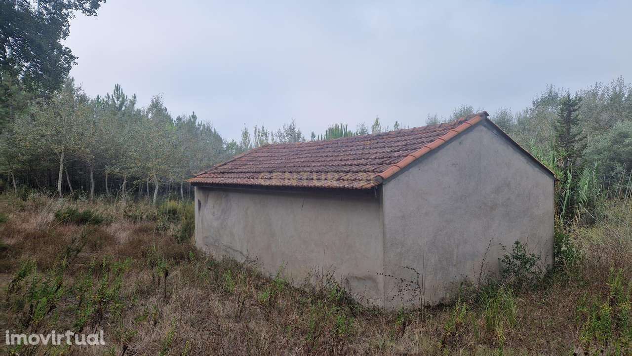 Terreno com grandes dimensões às portas de Condeixa - Grande imagem: 2/15