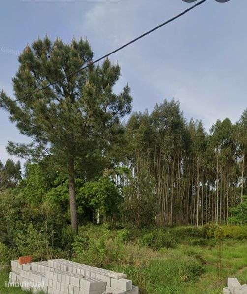 Lote terreno Construção Maceira - Grande imagem: 2/3