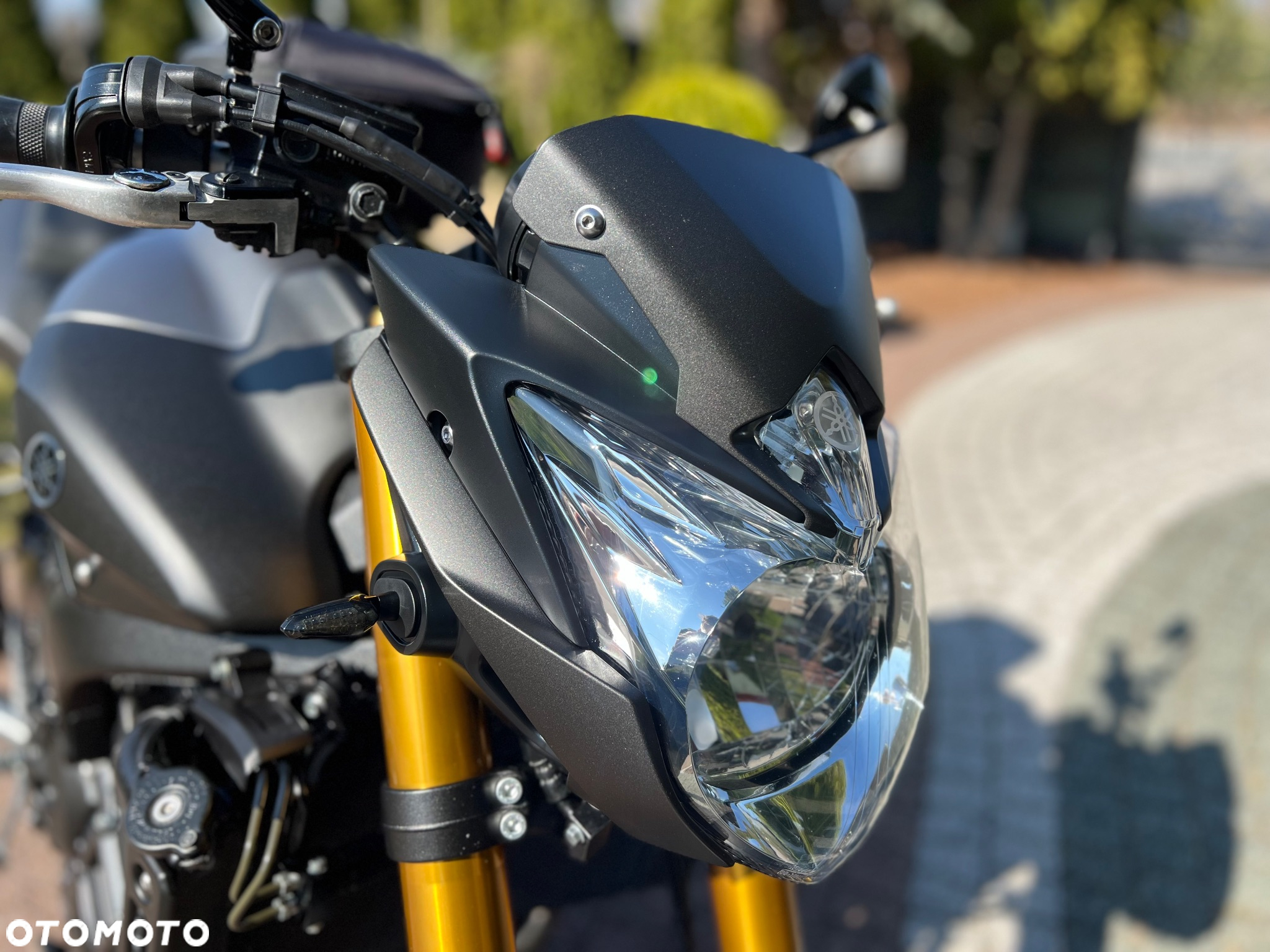 Yamaha FZ8 - 3