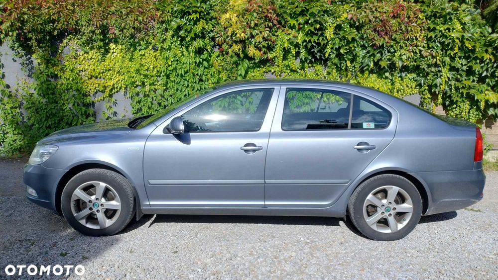 Skoda Octavia - 3