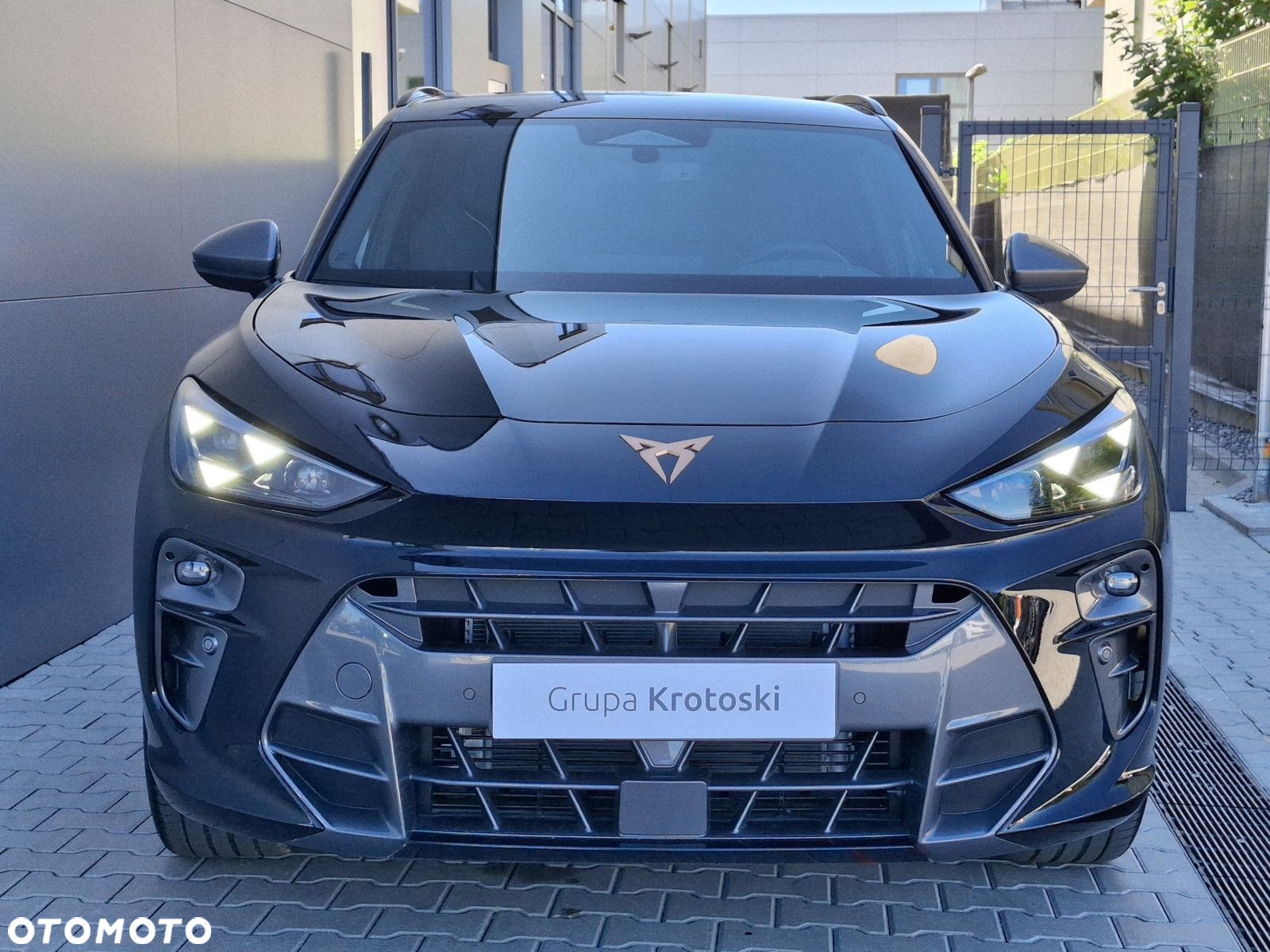 Cupra Terramar - 3