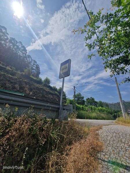 Quintinha em Cinfães - Grande imagem: 3/8