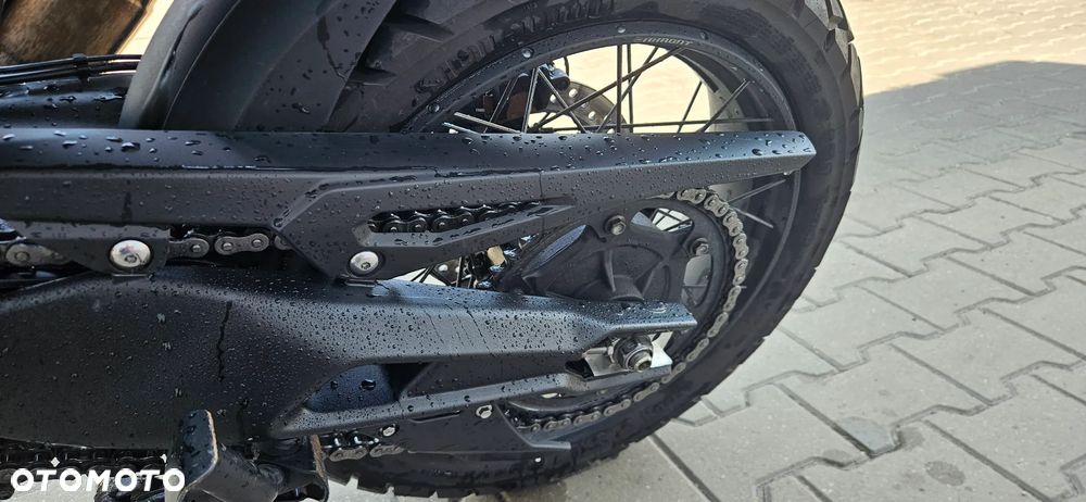 Triumph Tiger - 15