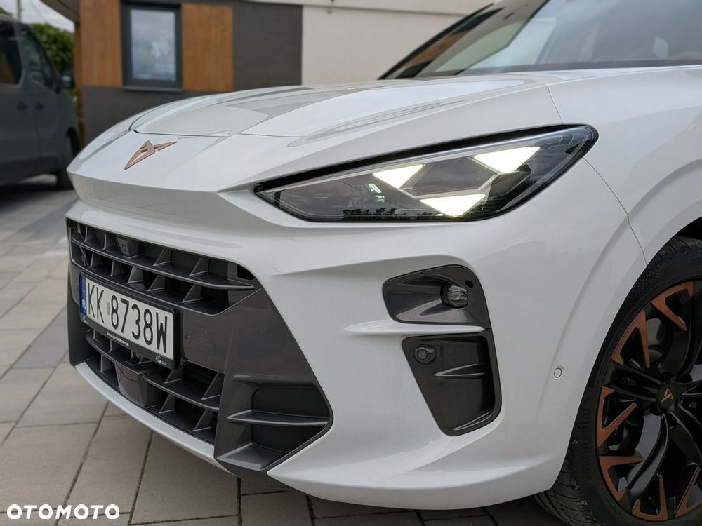 Cupra Terramar - 11