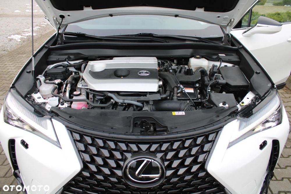 Lexus UX 250h GPF Prestige 2WD - 11