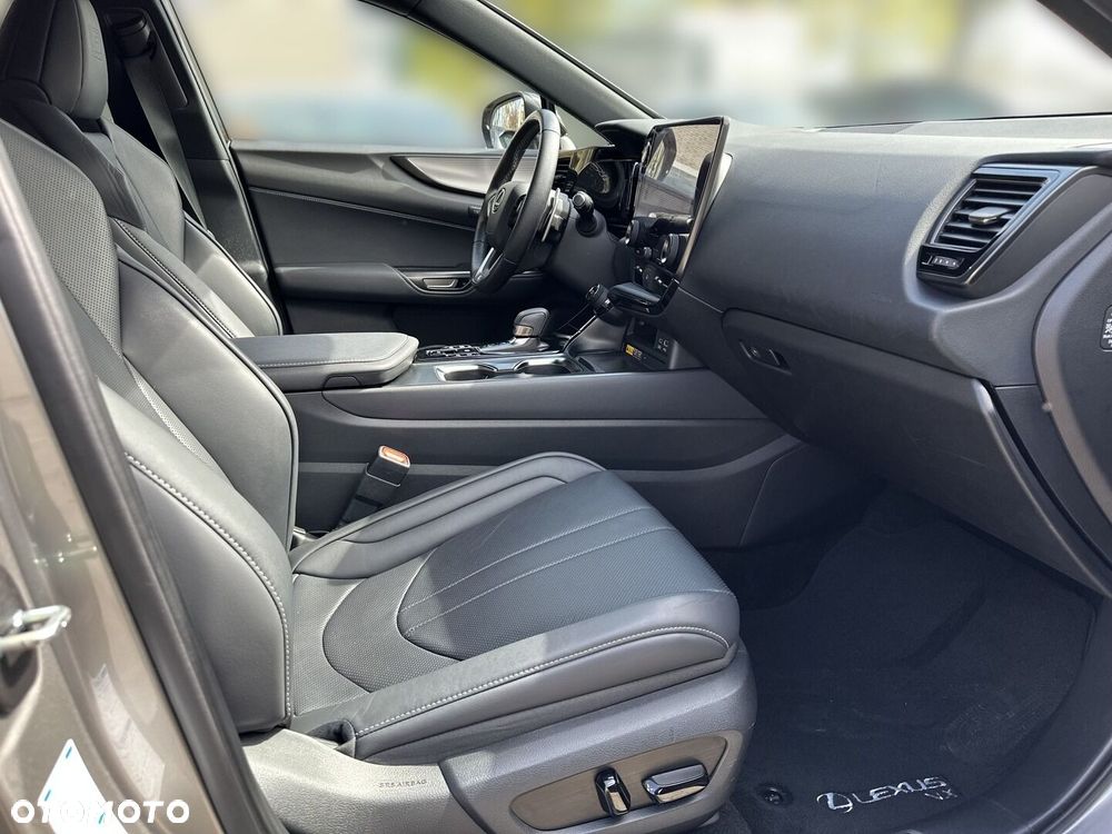 Lexus NX - 13