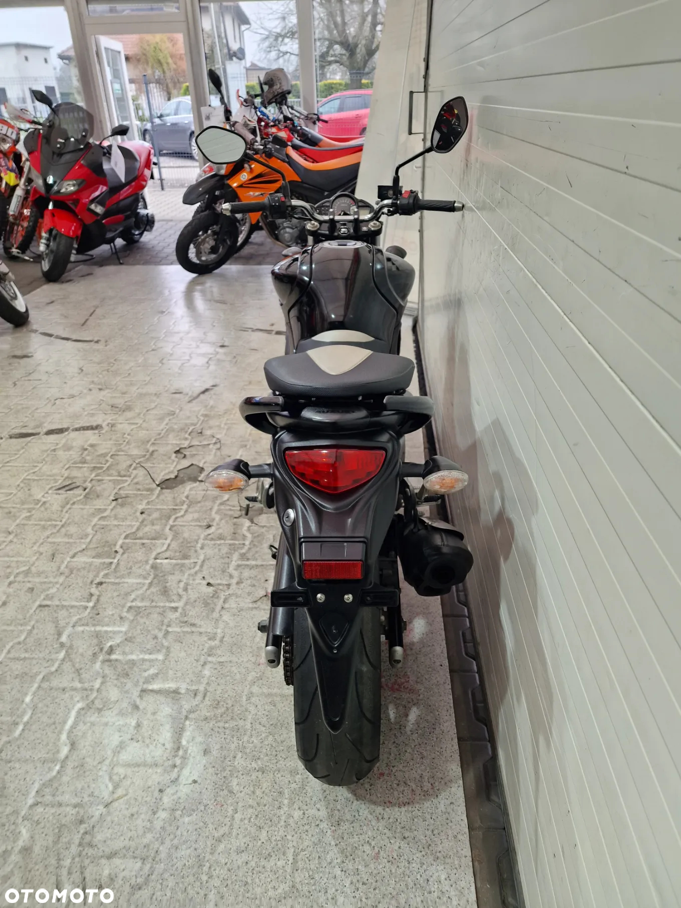 Suzuki Gladius - 5