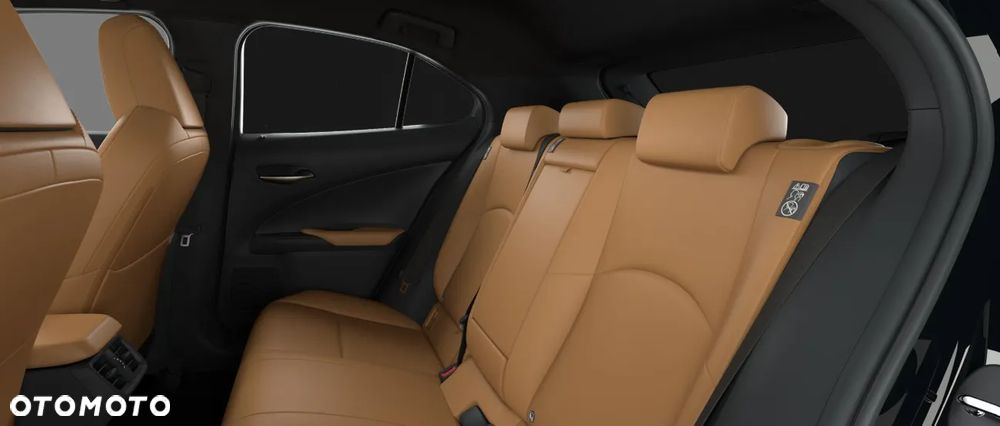 Lexus UX 300h F Sport Design - 5