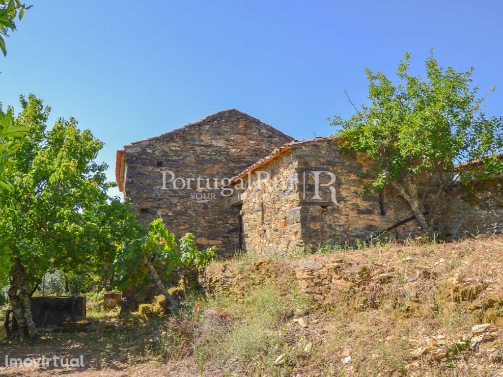 Quintinha com 4 hectares e 2 construções em aldeia da Beira Baixa - Grande imagem: 5/39
