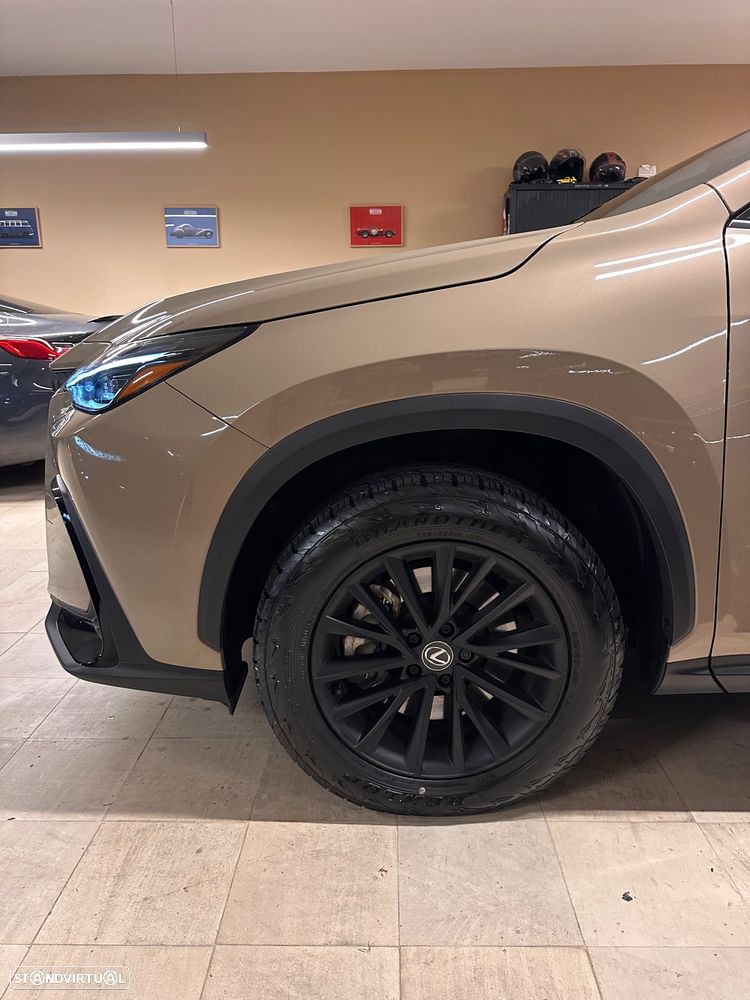 Lexus NX 450h+ - 4