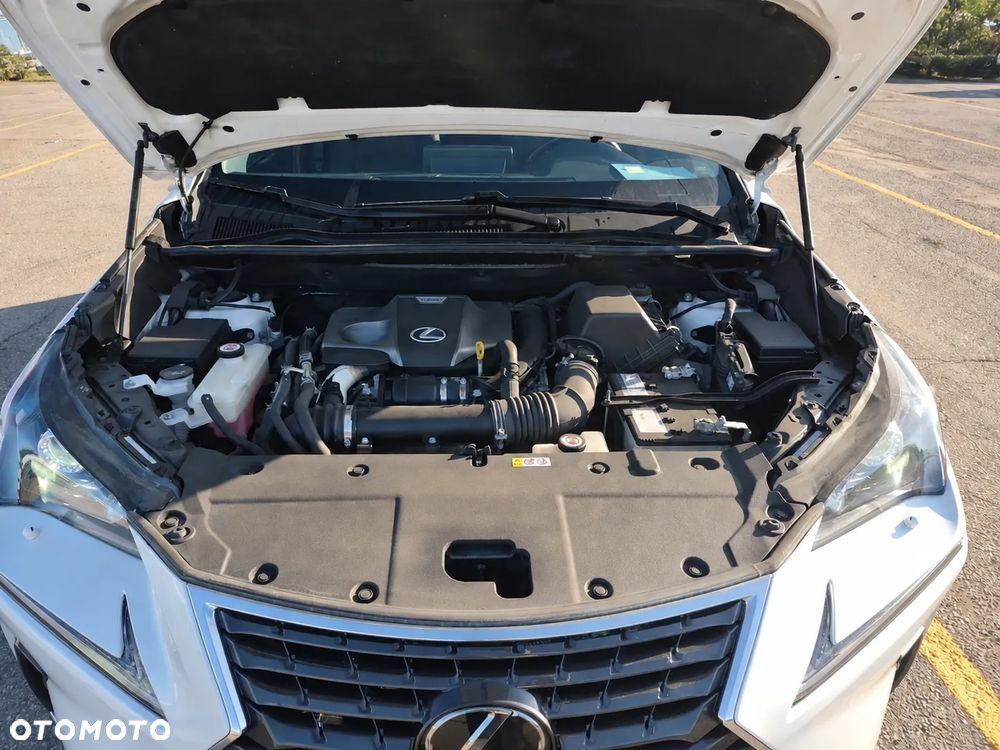 Lexus NX 300 Prestige AWD - 13