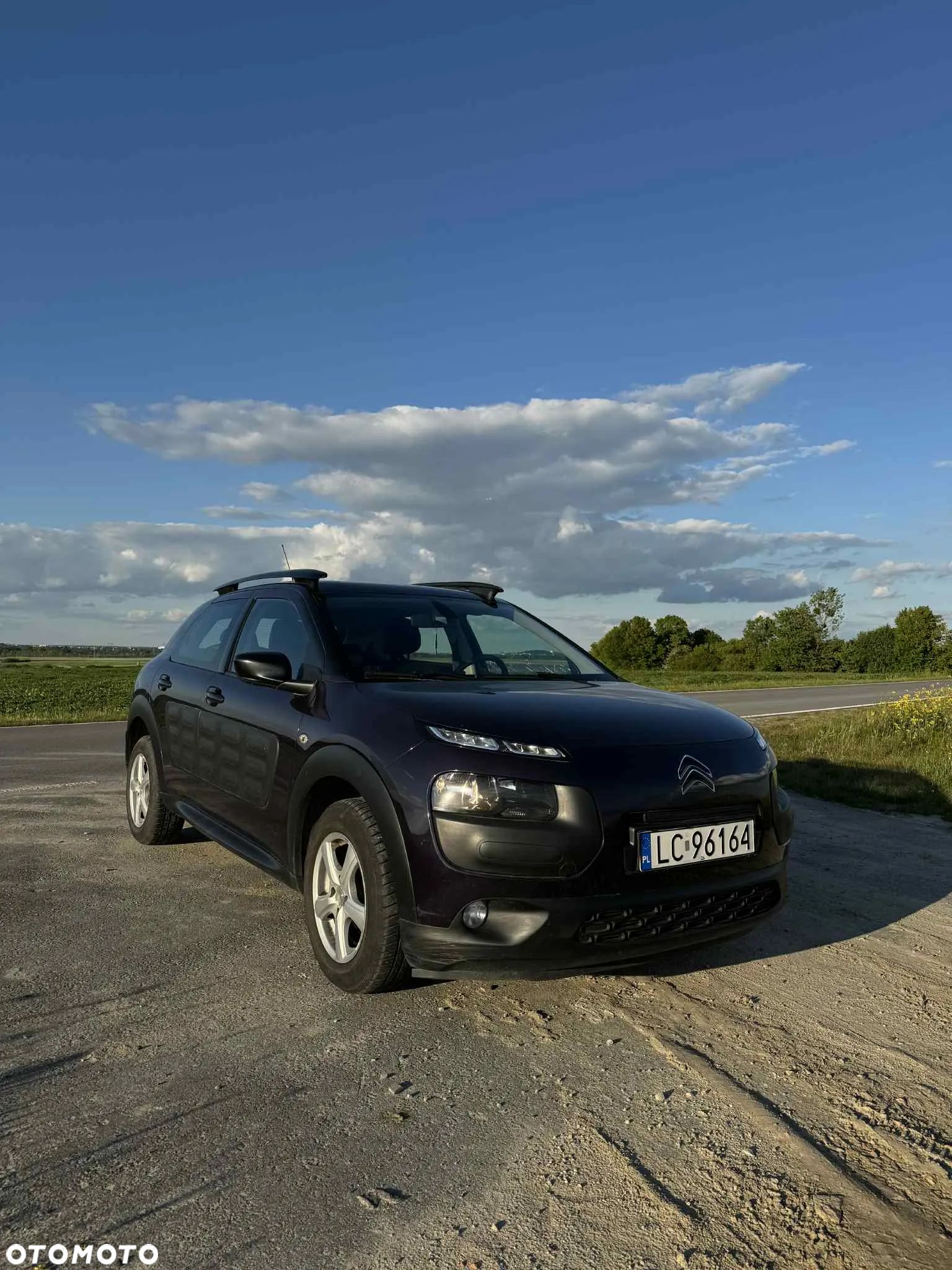 Citroën C4 Cactus - 1