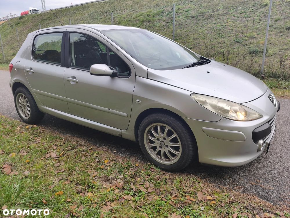 Peugeot 307 2006 photo 3
