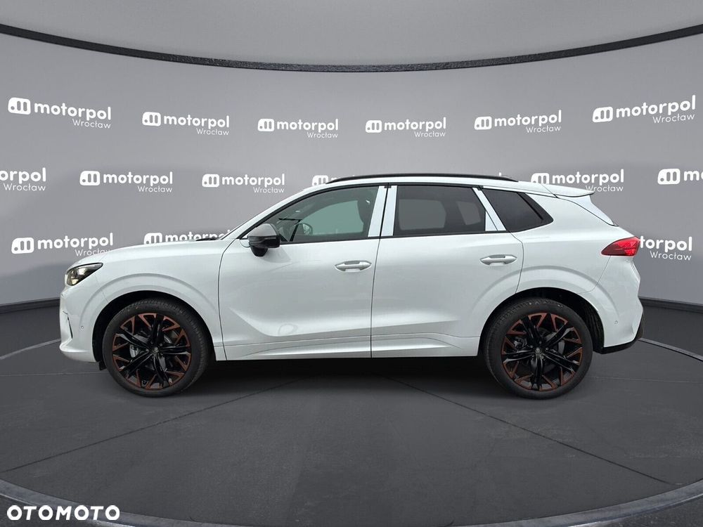 Cupra Terramar - 4