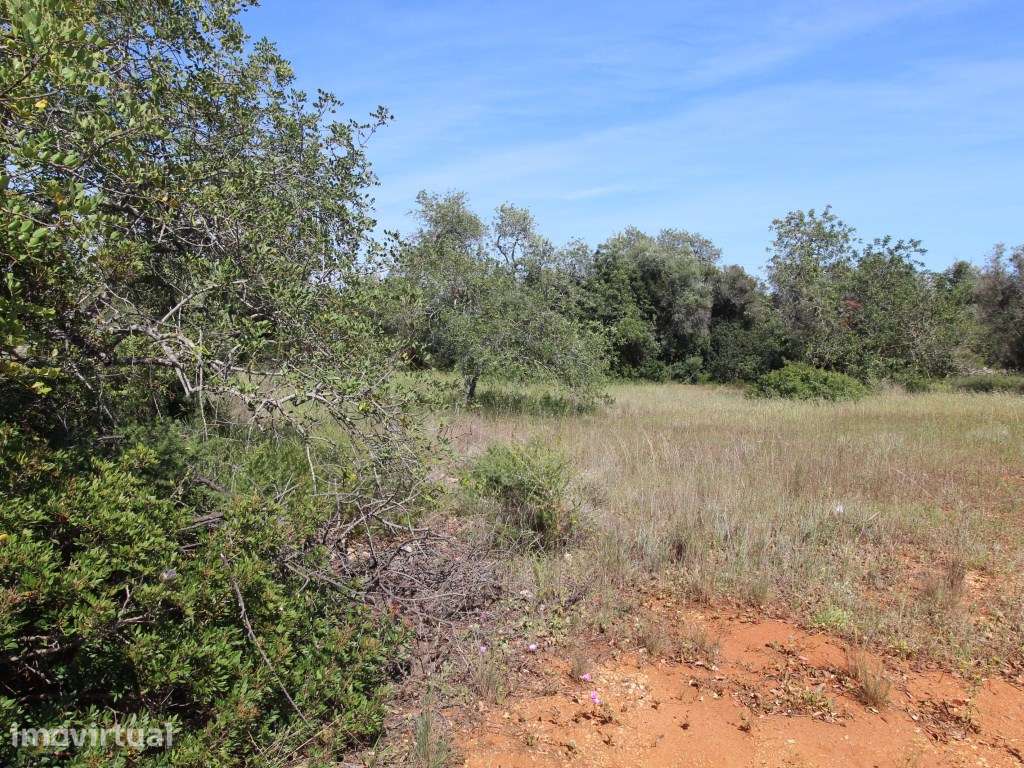 Terreno para moradia individual, Albufeira, Algarve - Grande imagem: 5/10