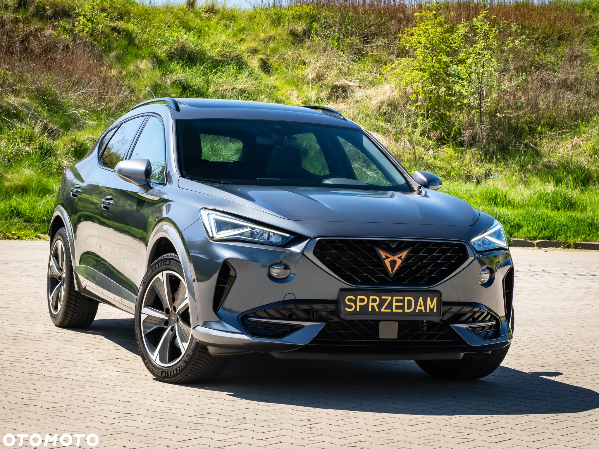 Cupra Formentor 1.5 TSI DSG - 6