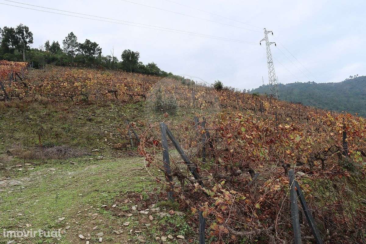 Terreno  para venda - Grande imagem: 3/11