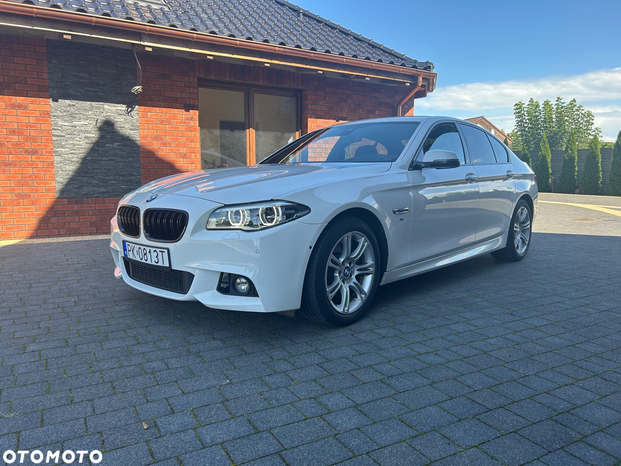 BMW Seria 5 520d xDrive - 6