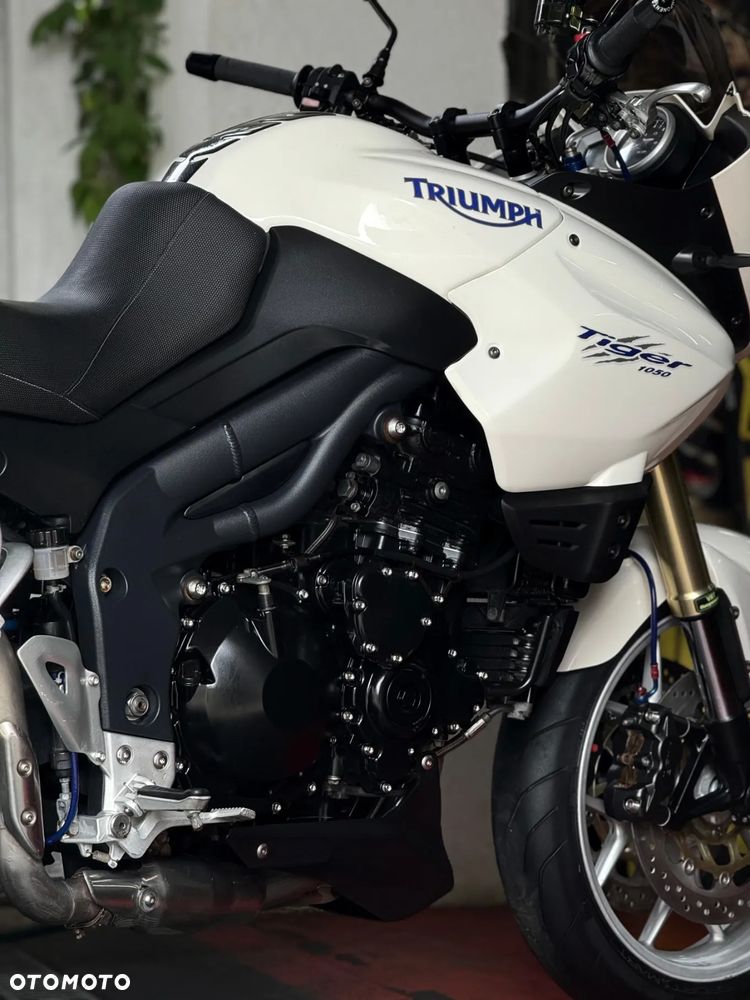 Triumph Tiger - 30