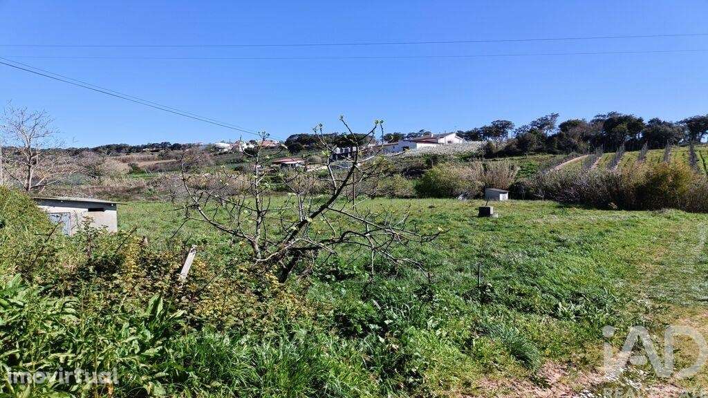 Terreno em Cela de 1585,00 m2 - Grande imagem: 2/22