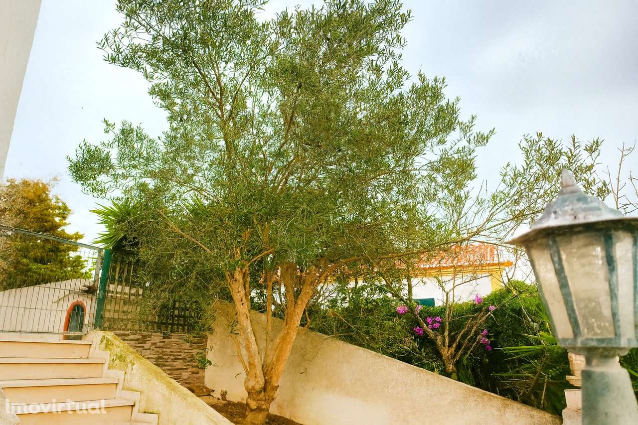 Moradia T3+2 na Ericeira com Garagem e Churrasqueira - Grande imagem: 2/30