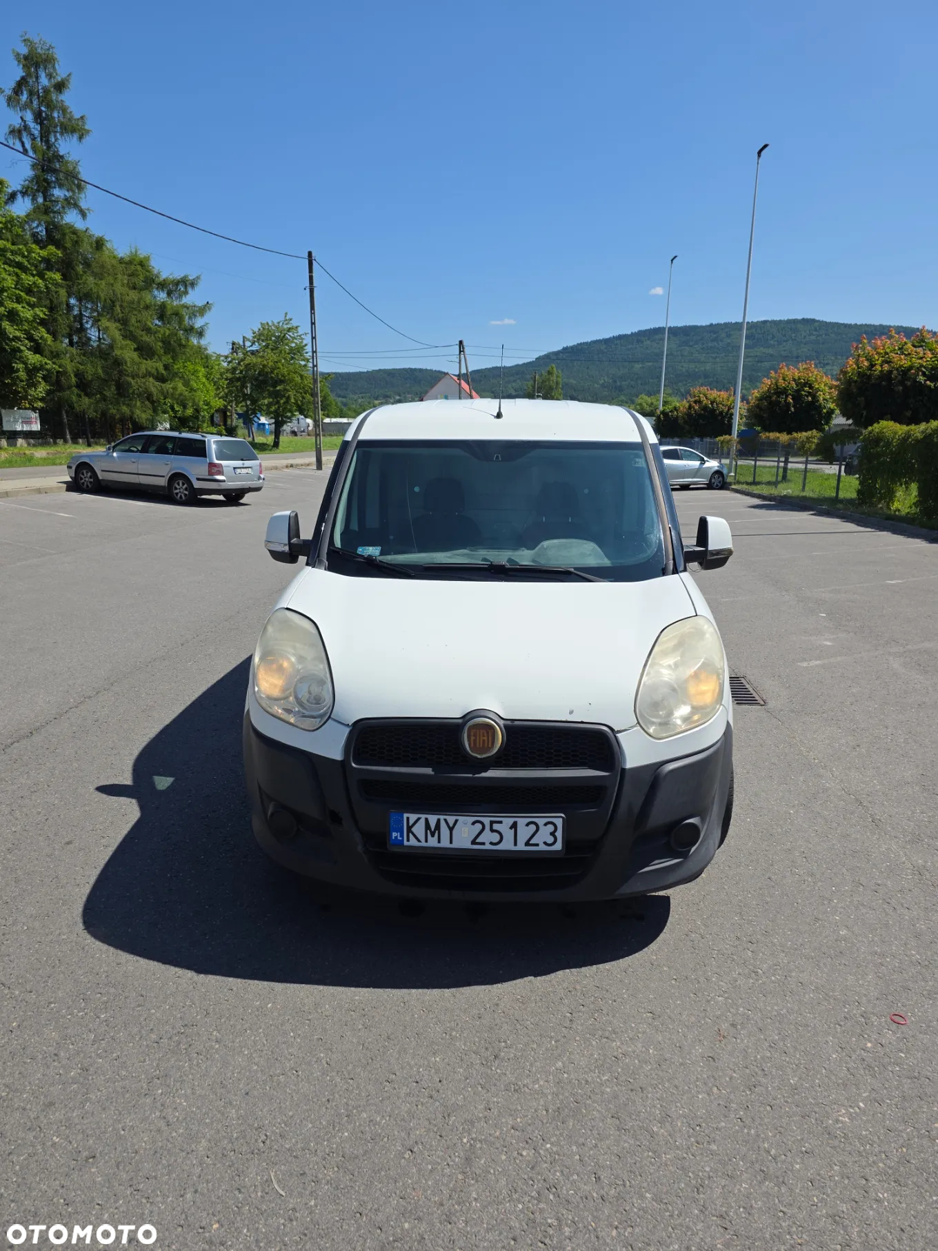 Fiat Doblo Cargo DPF MAXI - 14