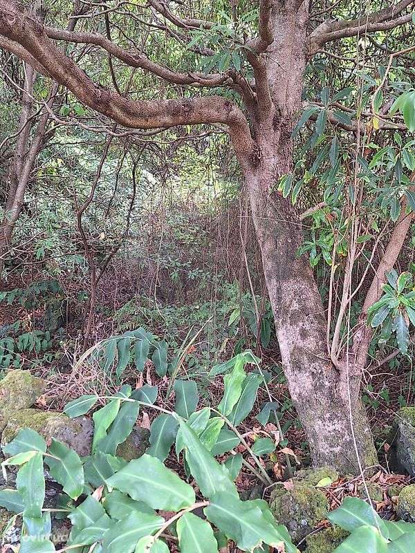 Terreno  para venda - Grande imagem: 4/5