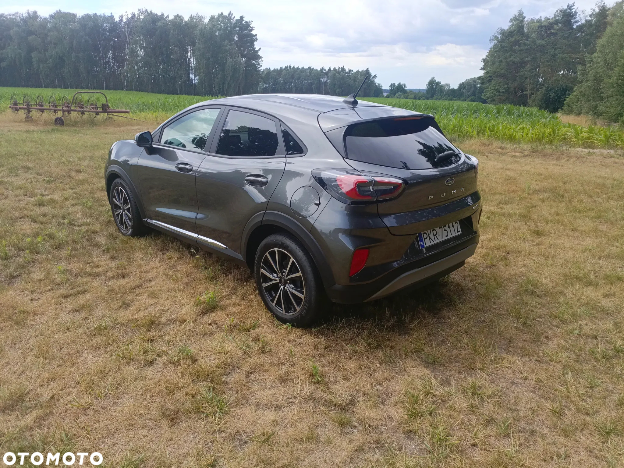 Ford Puma 1.0 EcoBoost Hybrid COOL & CONNECT - 7
