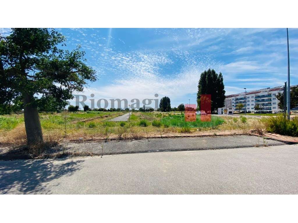 Lote Terreno Entroncamento para Moradia - Grande imagem: 4/23