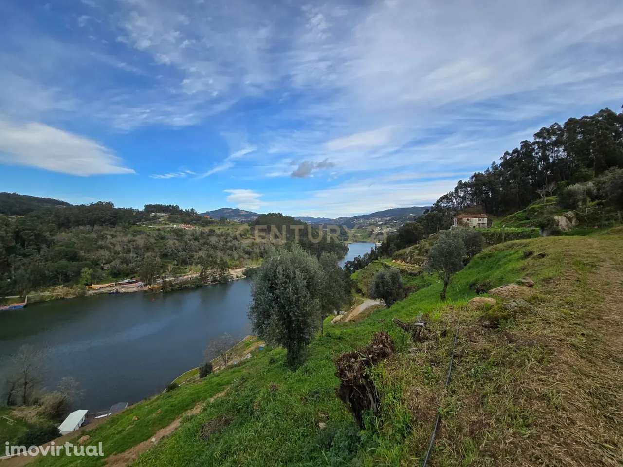 QUINTA COM MARGEM RIO DOURO - Grande imagem: 4/30