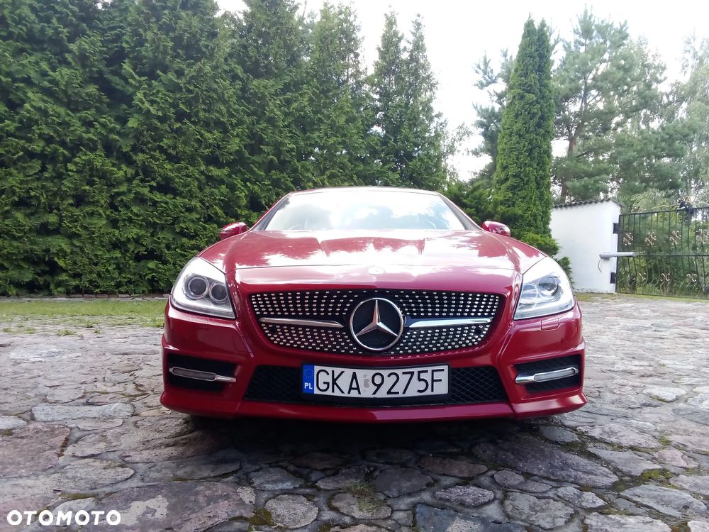 Mercedes-Benz SLK 250 (BlueEFFICIENCY) 7G-TRONIC - 3