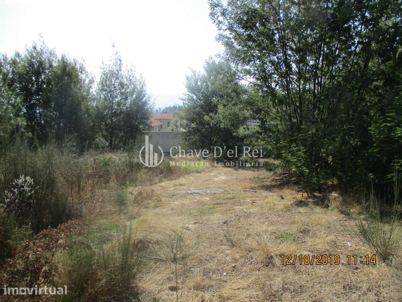 Terreno  Venda em Santiago de Cassurrães e Póvoa de Cervães,Mangualde - Grande imagem: 4/5