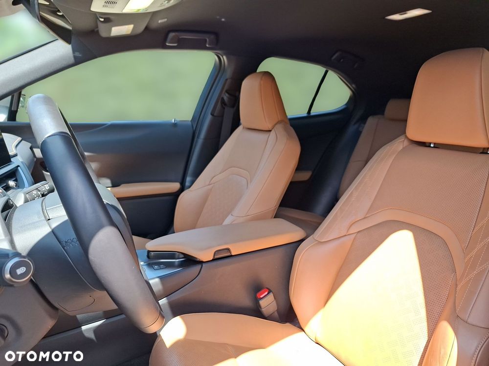 Lexus UX - 10