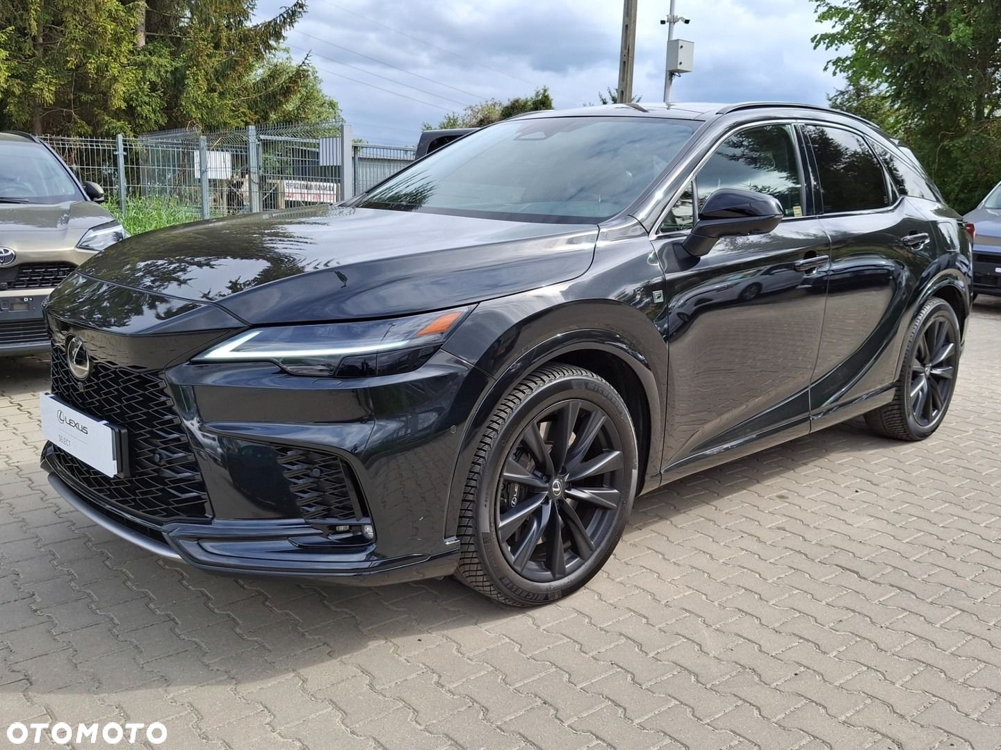 Lexus RX - 28