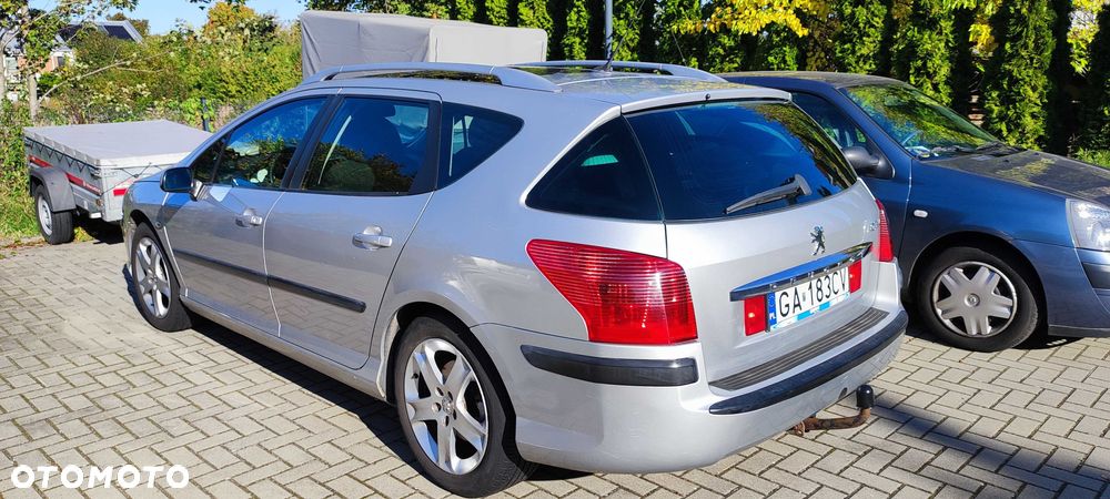 Peugeot 407 - 5