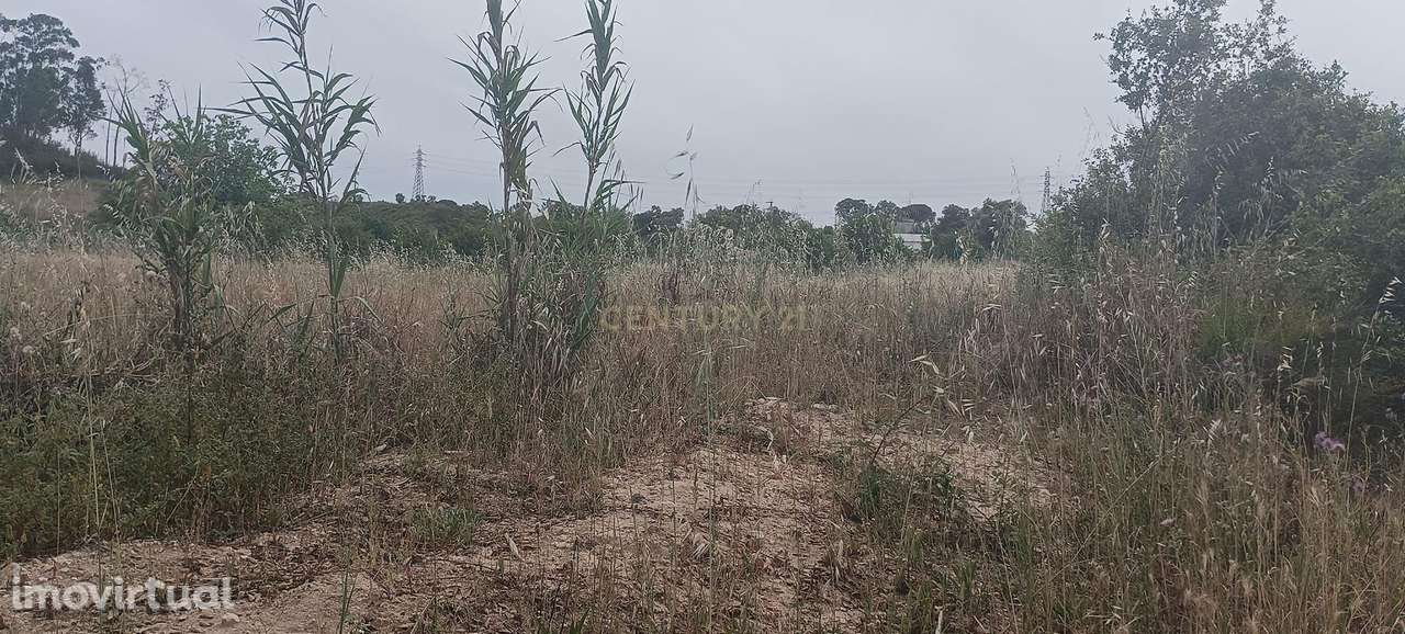 Terreno Rústico de 36,760m², Vale do Cobro, Oportunidade Rara - Grande imagem: 3/15