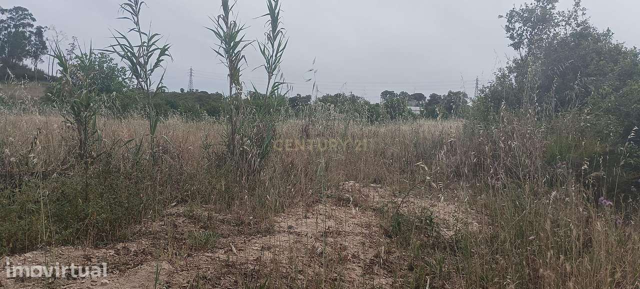 Terreno Rústico de 36,760m², Vale do Cobro, Oportunidade Rara - Grande imagem: 3/15