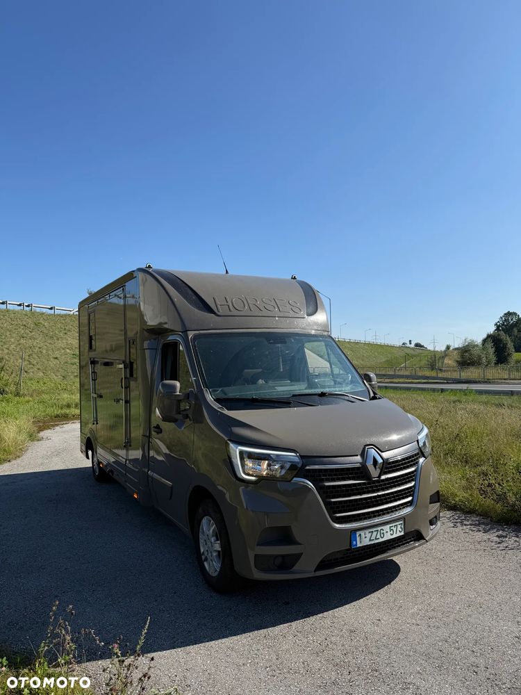 Renault Master Koniowóz - 1
