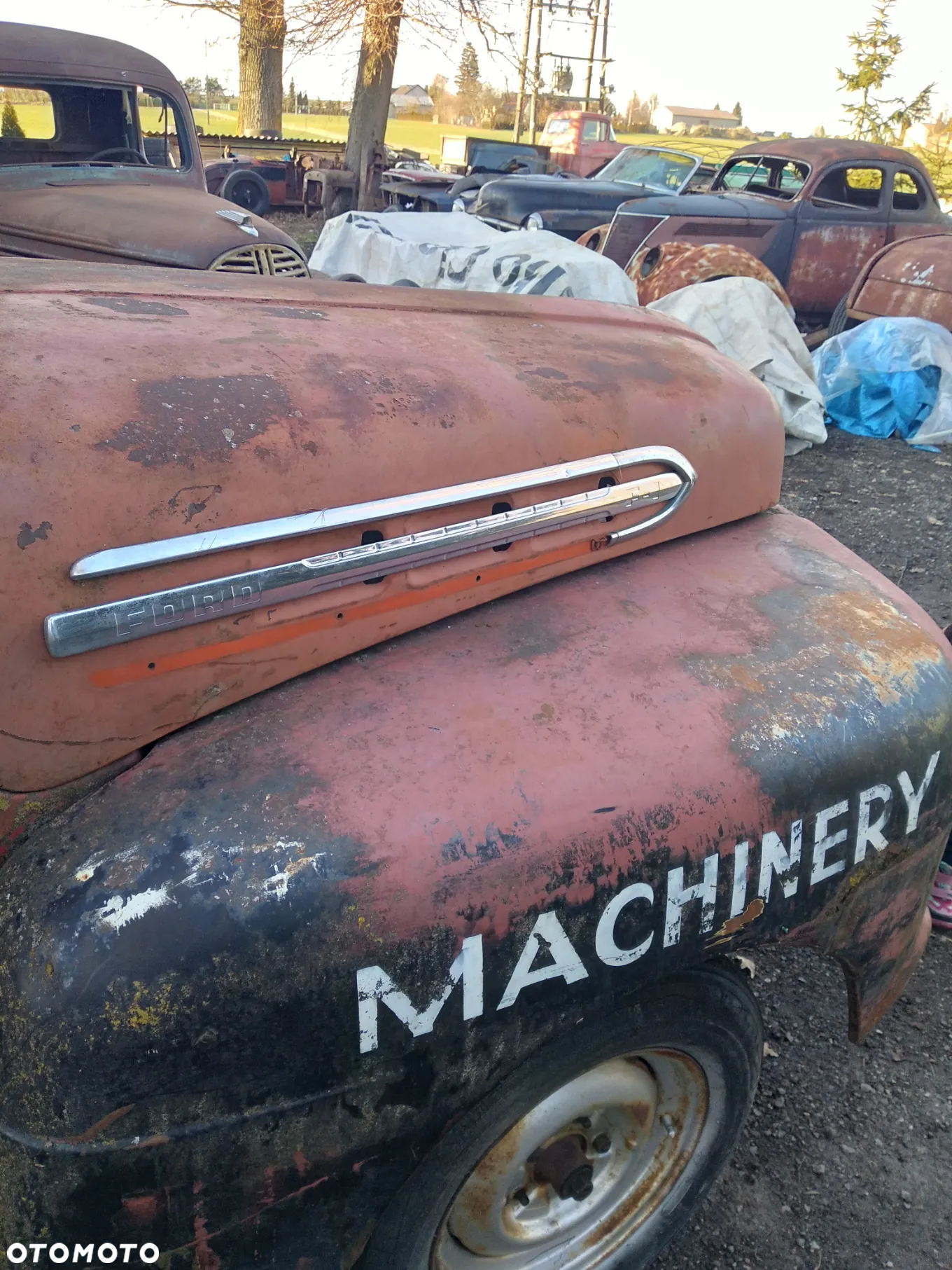 Ford Inny - 22